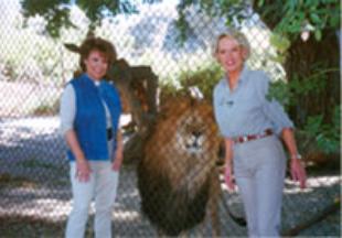 CJ_Leo_Tippi-2-310x216